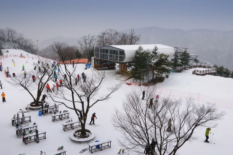 trip-korea_large.jpg