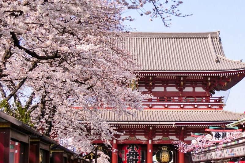 wisata-di-tokyo_large.jpg