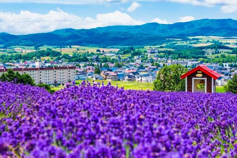wisata-hokkaido-jepang_large.jpg