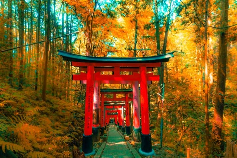 wisata-jepang-apa-saja_large.jpg