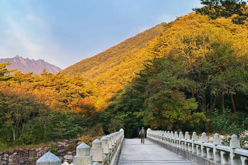wisata-korea-keluarga-recommended-2025_large.jpg